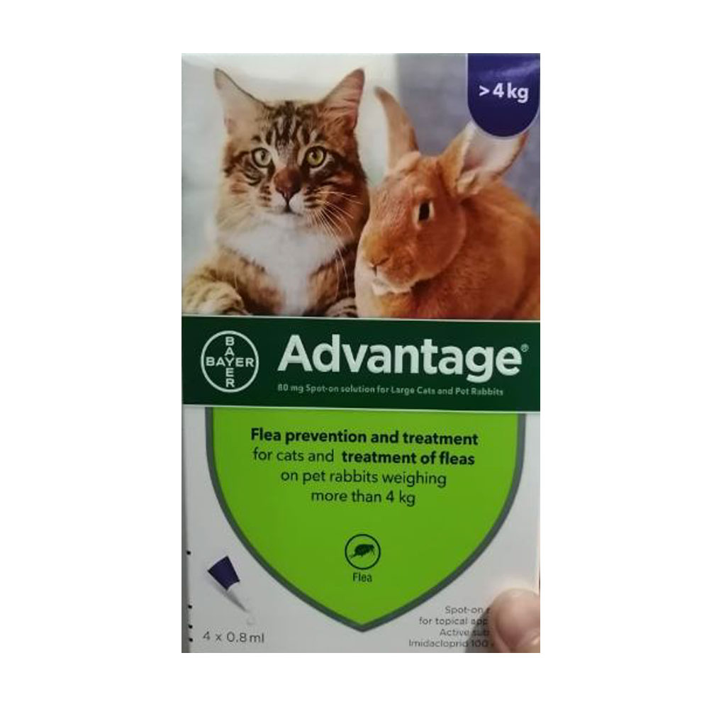 Advantage Purple Large Cat > 4Kg 12Pk