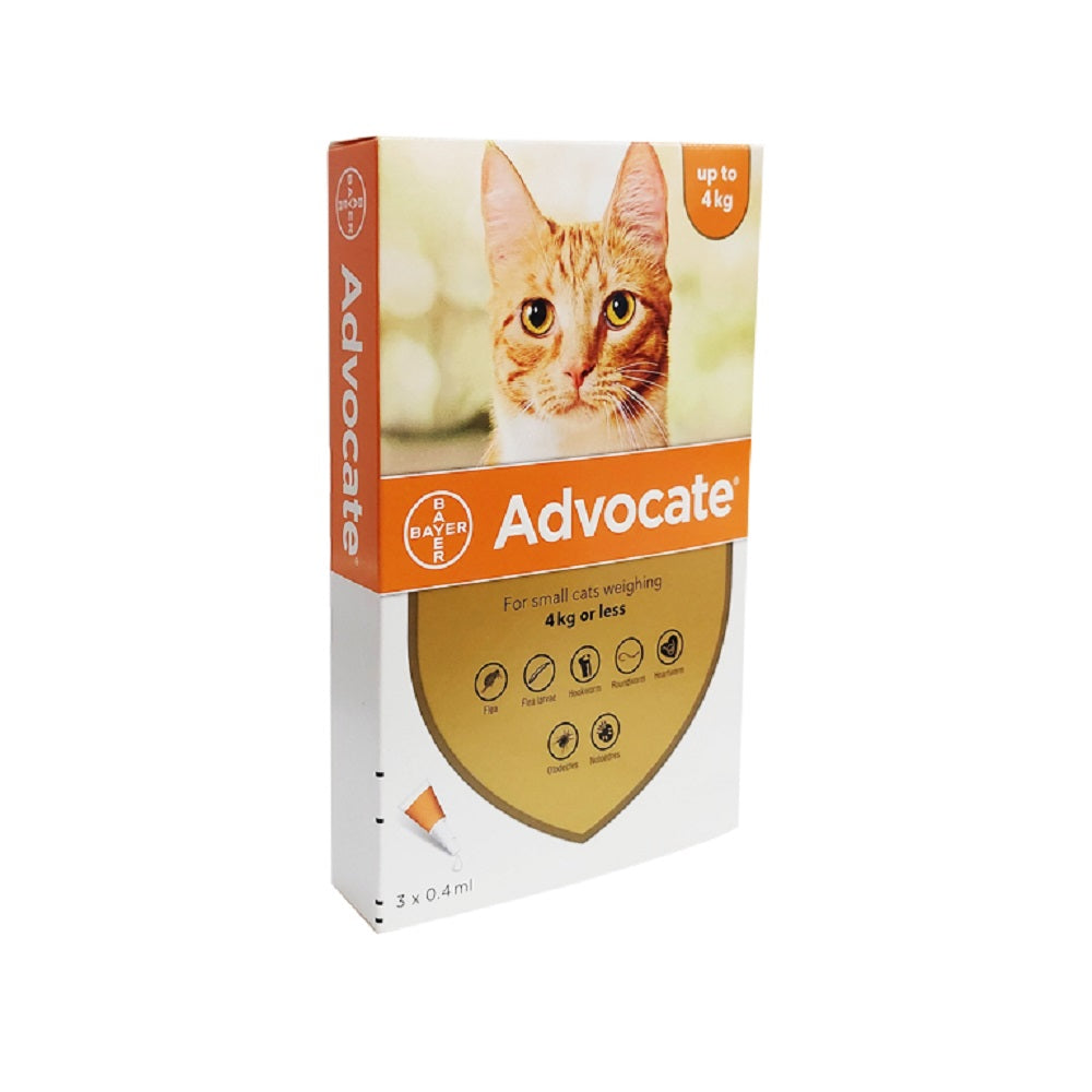 Advocate Cat