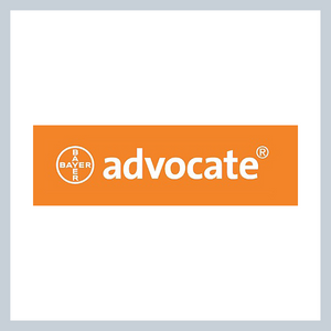 Advocate