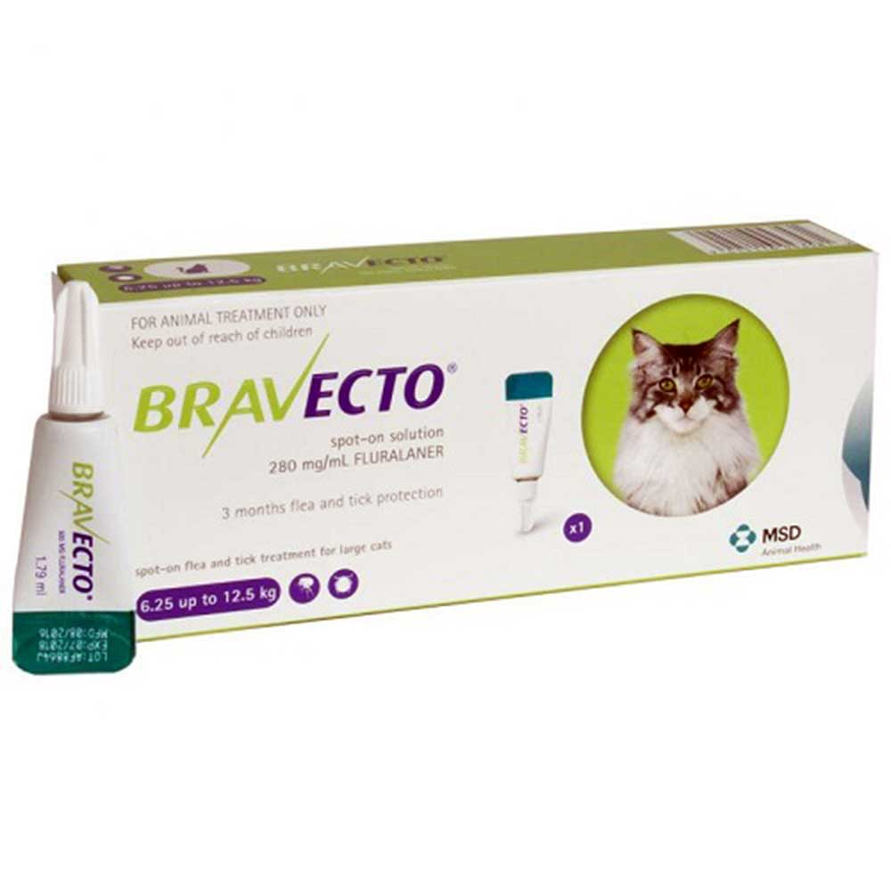 Bravecto Spot On 500mg Large Cat