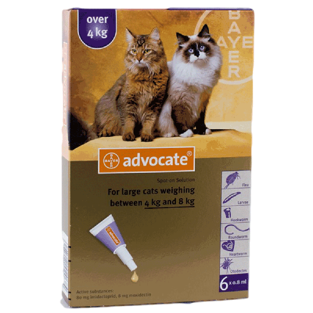 Advocate Large Cat Over 4 Kg 1 Pk