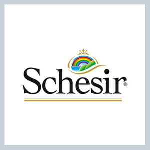 Schesir