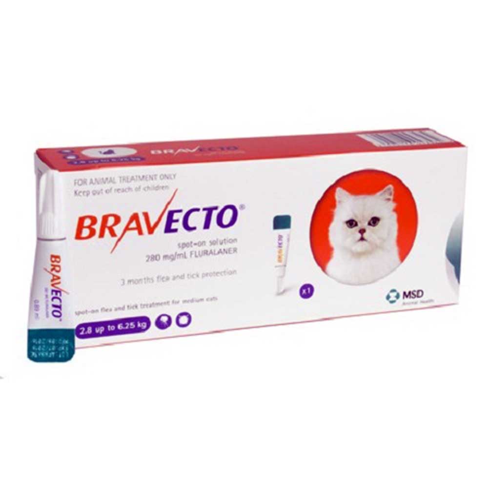 Bravecto Spot On 250mg Medium Cat